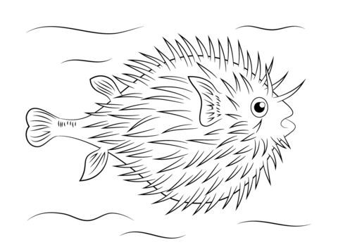 Puffer Fish Coloring Page